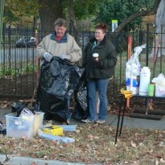 Fall Alley Clean-Up